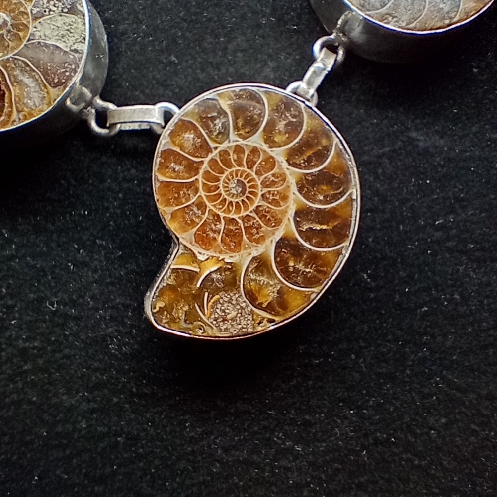 Fossilized Ammonite & Sterling Statement Necklace - image 2